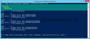 Mount-WindowsImage