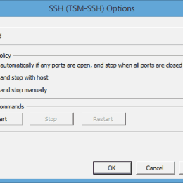 VMware ESXi vSphere Client Start SSH Service