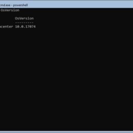 Windows Server Insider Preview Build 17074