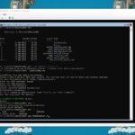 Windows Subsystem for Linux 2 WSL2 on Windows Server